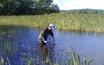 Scientist in lake collecting sediment samples in Maine